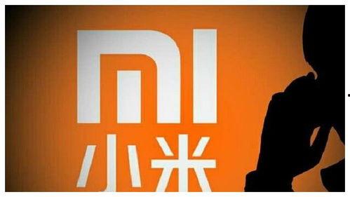 小米高管最新爆料,最新旗舰手机及未来科技布局大曝光！”